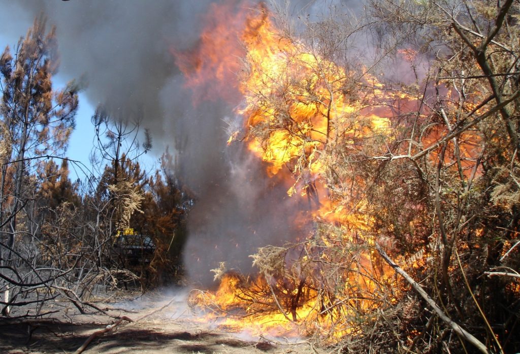 Imagem de incêndio florestal