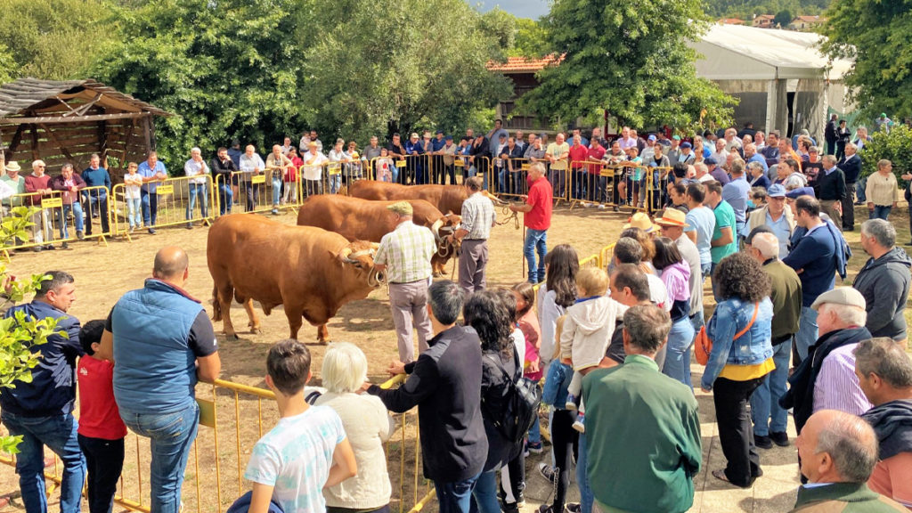 “Feira dos 16” de Cepelos com balanço “extremamente positivo”