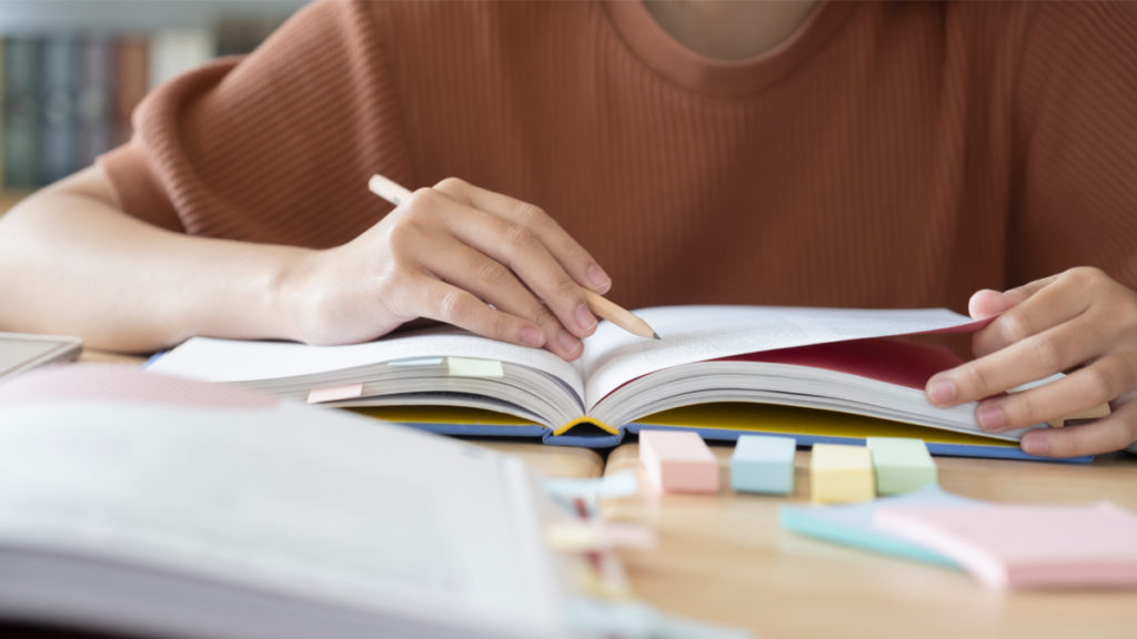 Ano letivo arranca em Vale de Cambra com transferência de competências