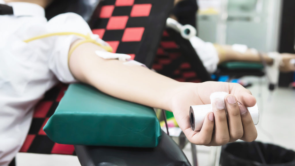 Alunos da Escola Sede de Vale de Cambra promovem campanha de colheita de sangue e medula óssea a 26 de outubro
