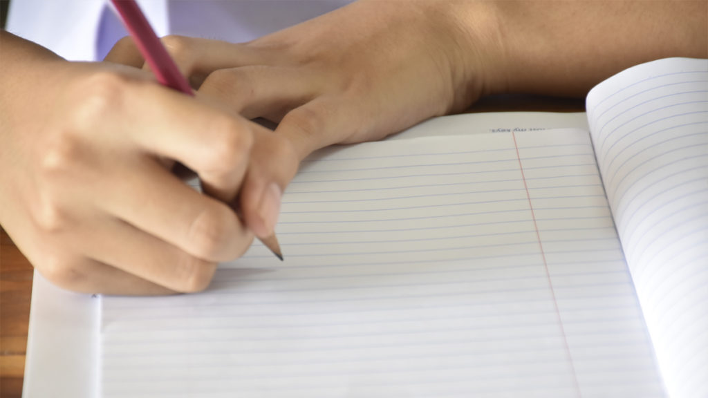 Município de Vale de Cambra atribui 61 bolsas de estudo no valor de 45 mil euros