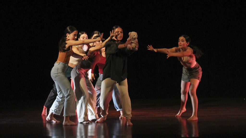 Vale d-artes volta a trazer a Vale de Cambra cinco dias de Artes Performativas