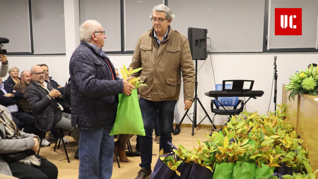 Município de Vale de Cambra abre candidaturas para atribuição de castanheiros