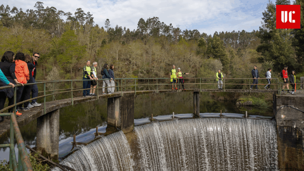 “À Descoberta do Vale 2026” desafia participantes a chegar “Ao Pico, a Pé” nas sete freguesias de Vale de Cambra