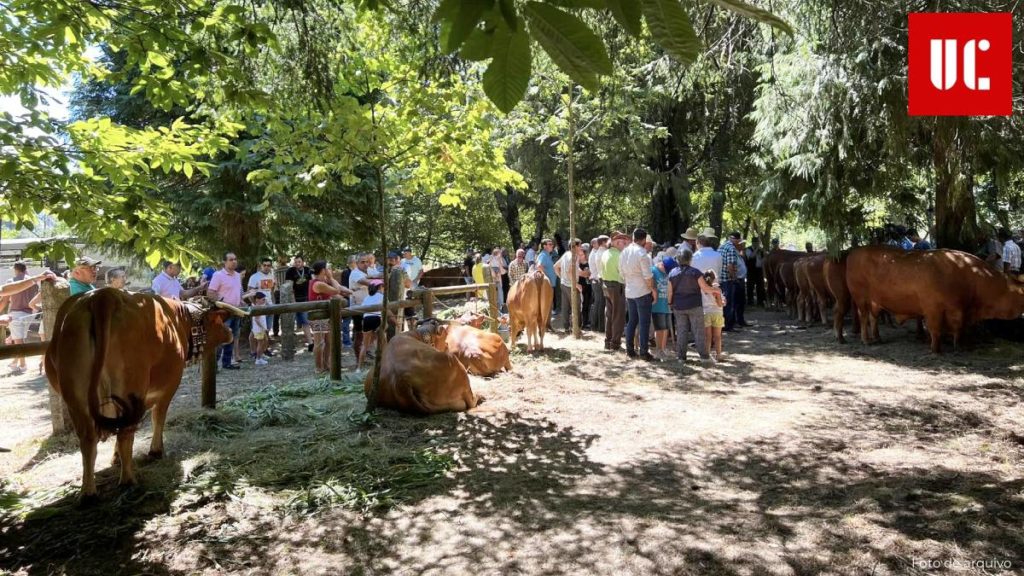 Feira do Arestal regressa este sábado para celebrar tradição agrícola em Junqueira