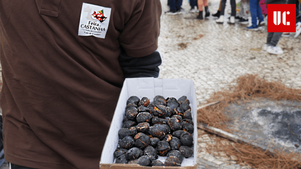“Uma das melhores do mundo” – a castanha volta a ser rainha na Feira de S. Pedro de Castelões