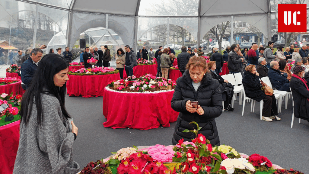 Arte e natureza cruzam-se na 5.ª edição do Festival das Camélias de Sever do Vouga